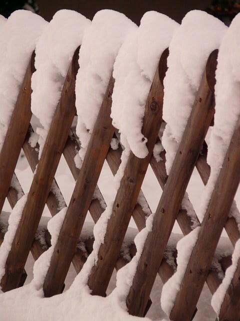 A hunting fence