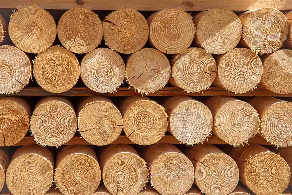 деревянные столбы