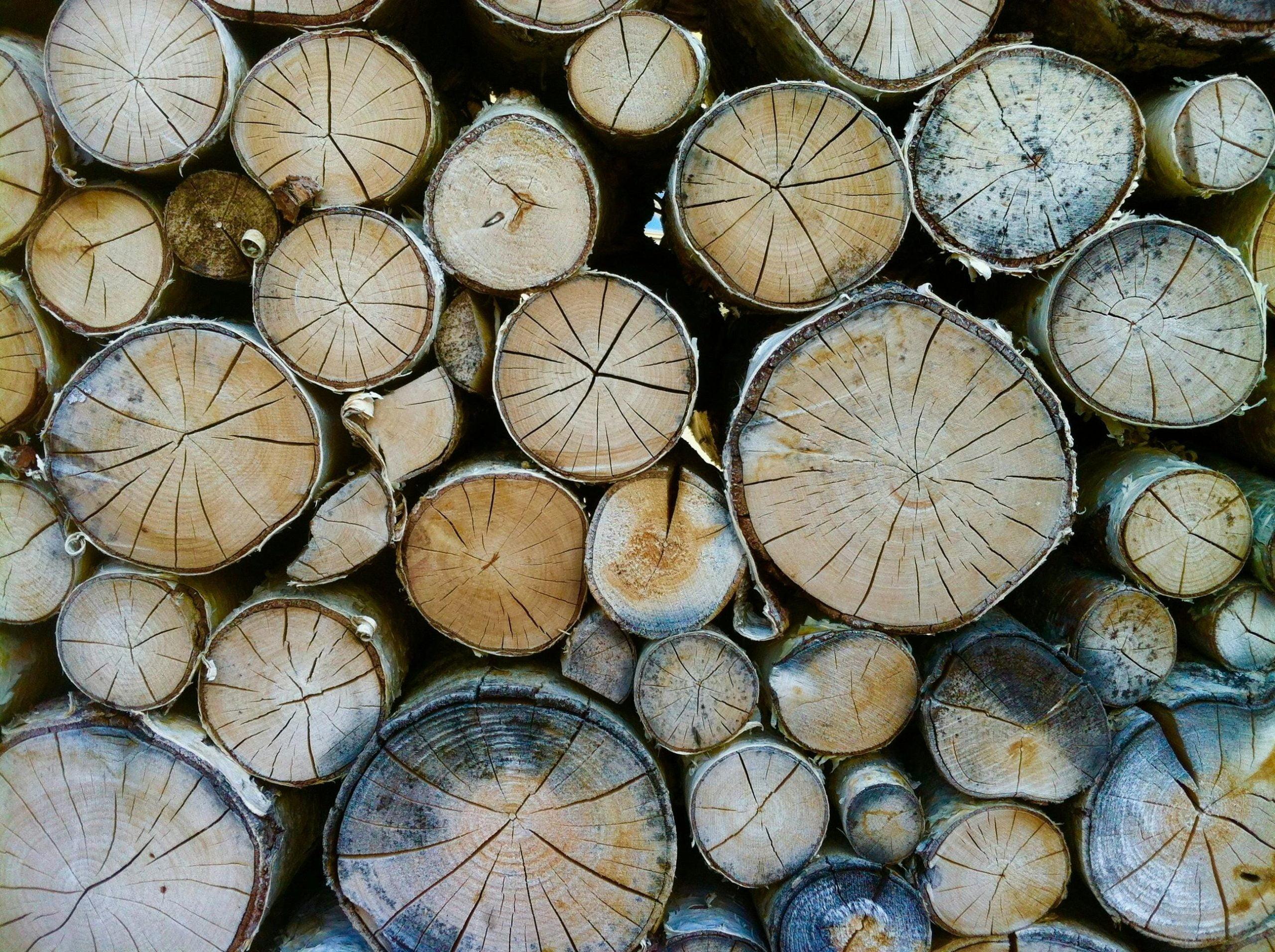 древесина
